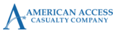 American Access Casualty company